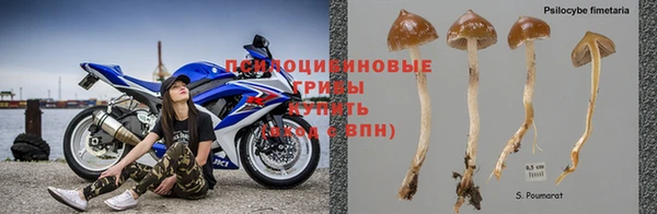 spice Алзамай