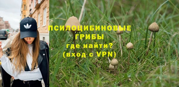 МДПВ Алексин