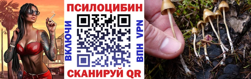 Псилоцибиновые грибы Cubensis Вилюйск